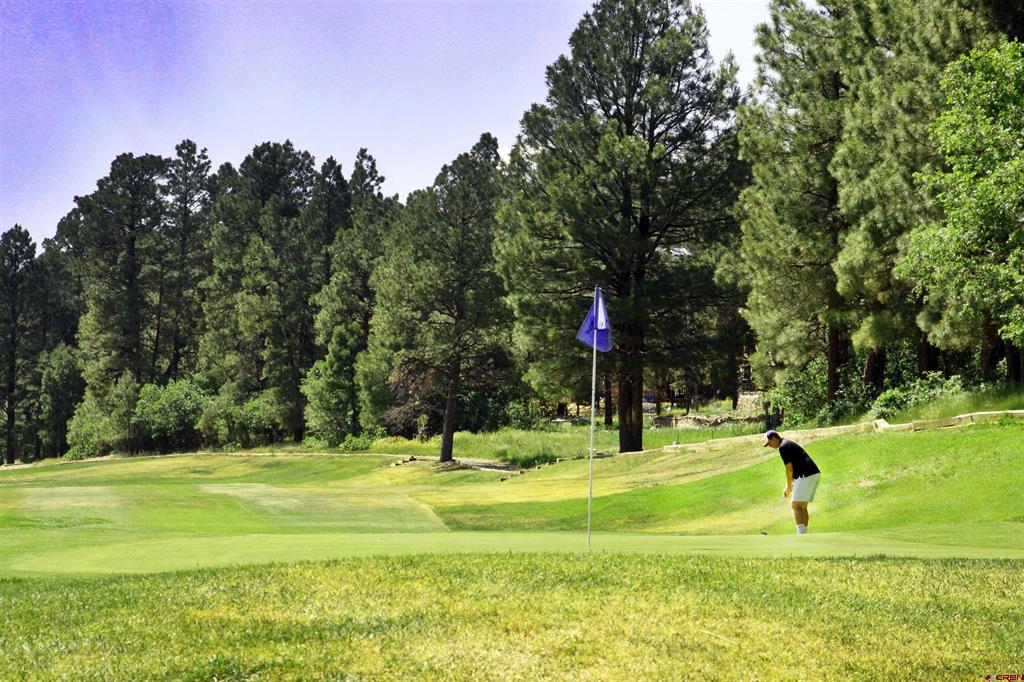 360 Caddy Circle Property Photo 35