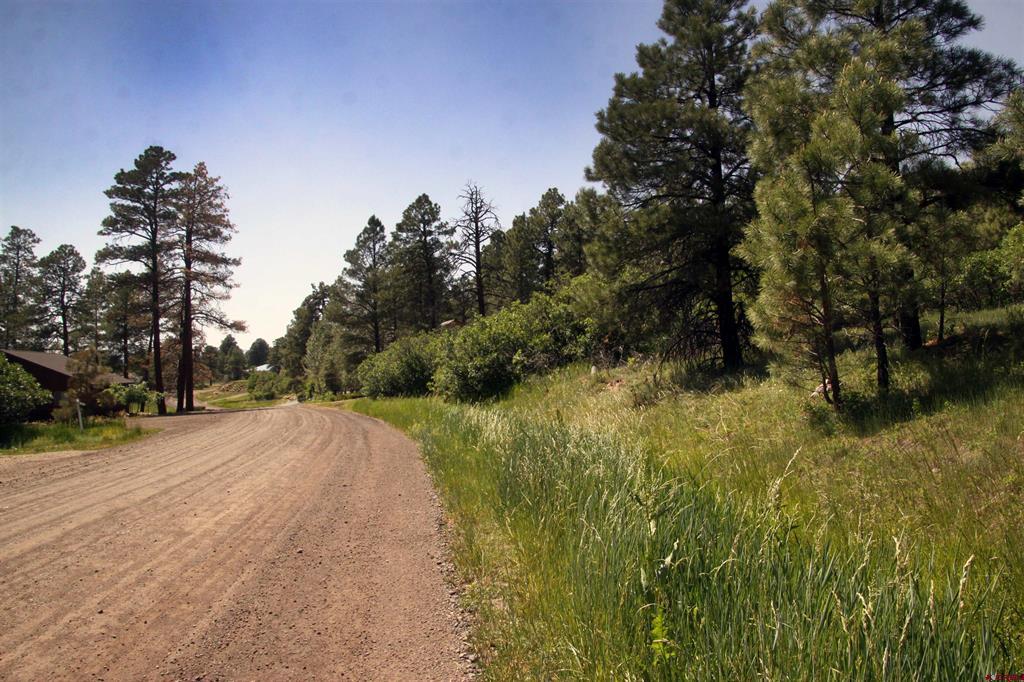 360 Caddy Circle Property Photo 38