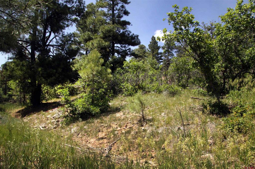 360 Caddy Circle Property Photo 39