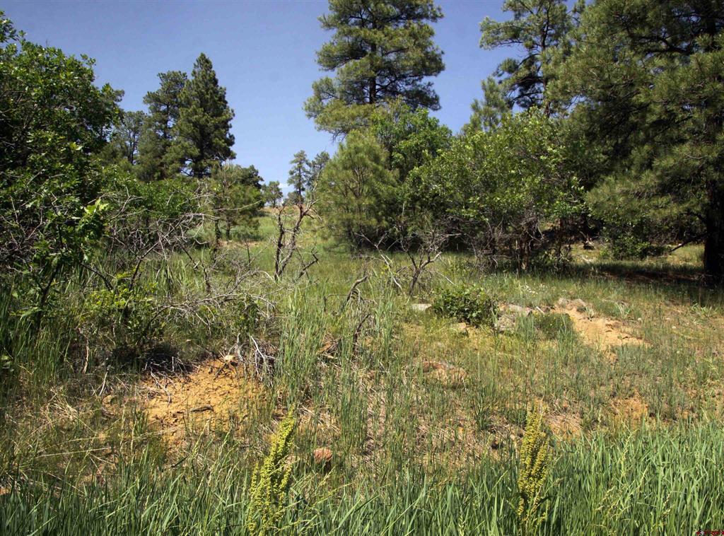 360 Caddy Circle Property Photo 40