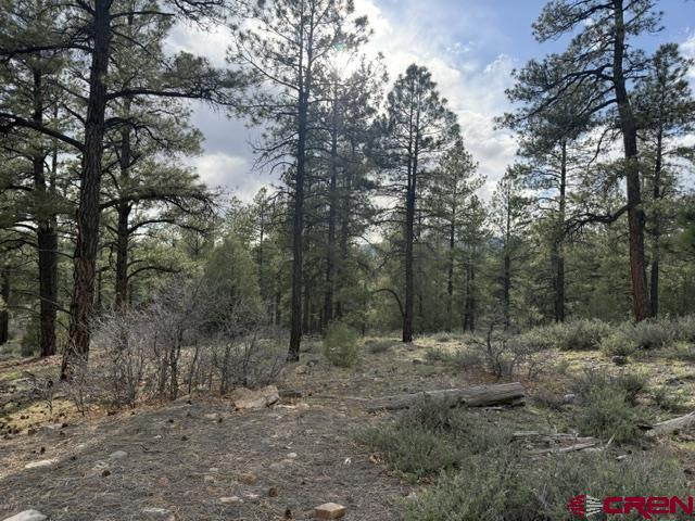 596 Ginger Circle Property Photo 2