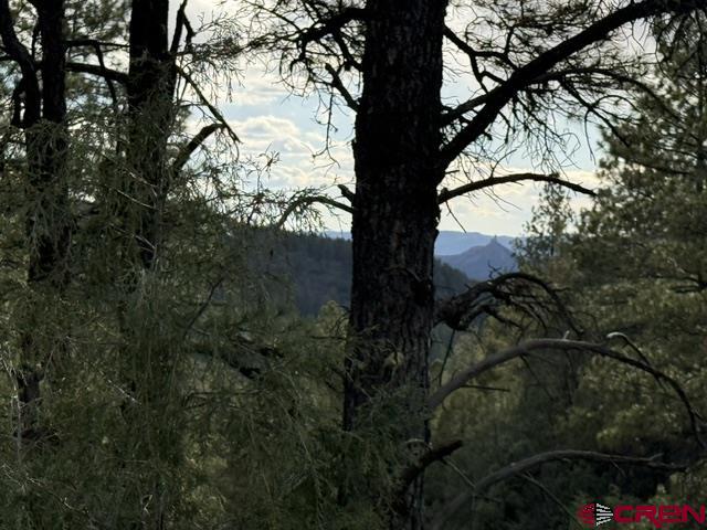596 Ginger Circle Property Photo 3