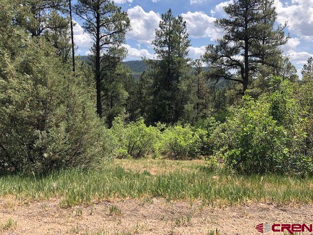 596 Ginger Circle Property Photo 5