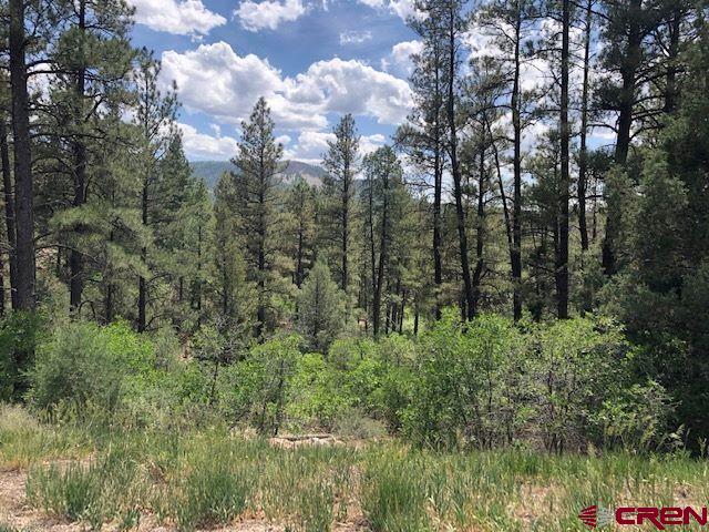 596 Ginger Circle Property Photo 6