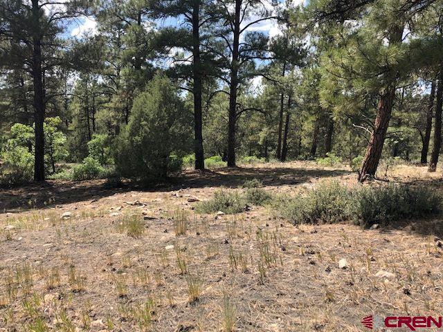 596 Ginger Circle Property Photo 10