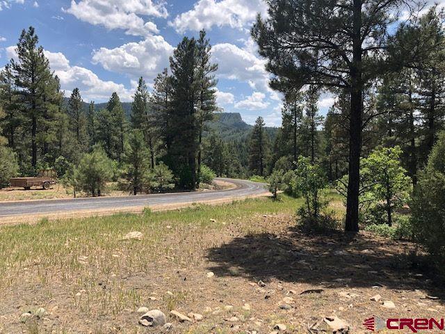 596 Ginger Circle Property Photo 11