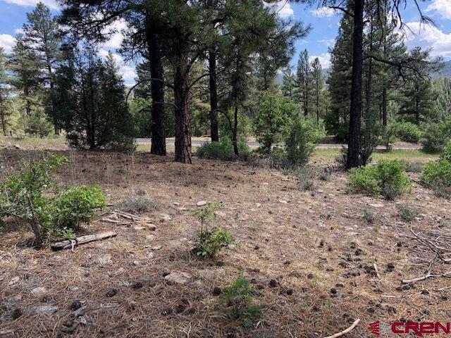 596 Ginger Circle Property Photo 12
