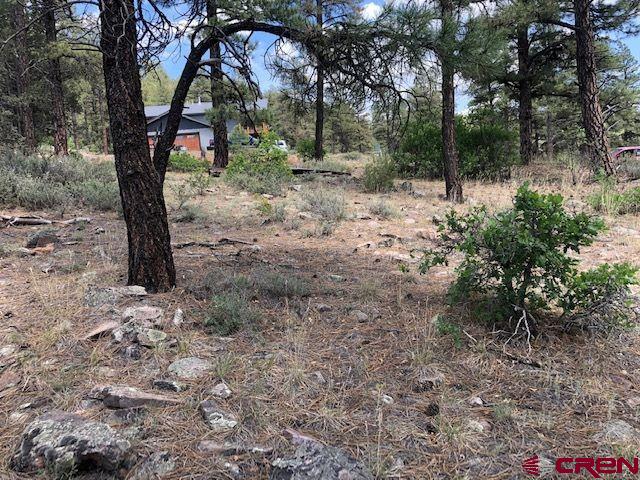 596 Ginger Circle Property Photo 13