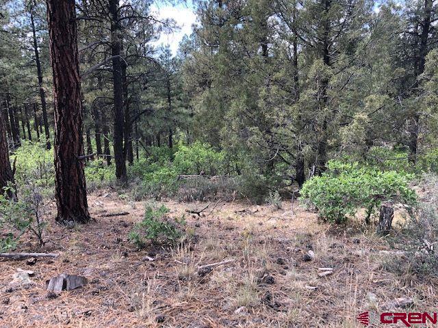 596 Ginger Circle Property Photo 14