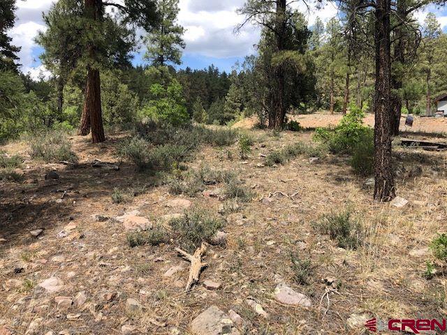 596 Ginger Circle Property Photo 15