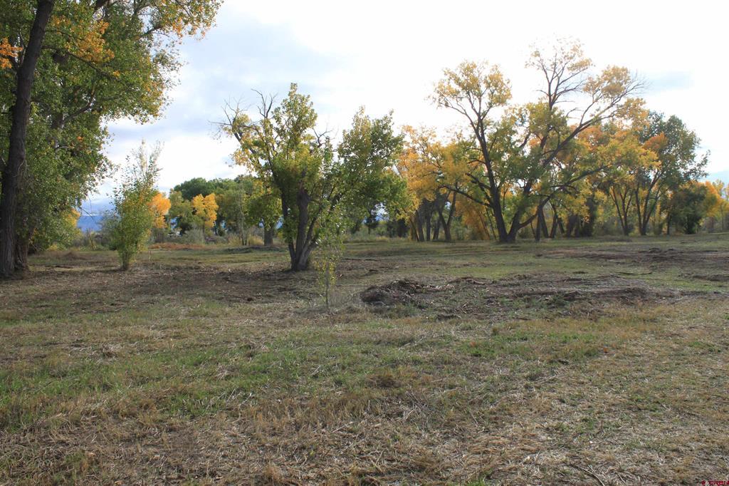 Tbd (lot 2) 6360 Drive Property Photo 8