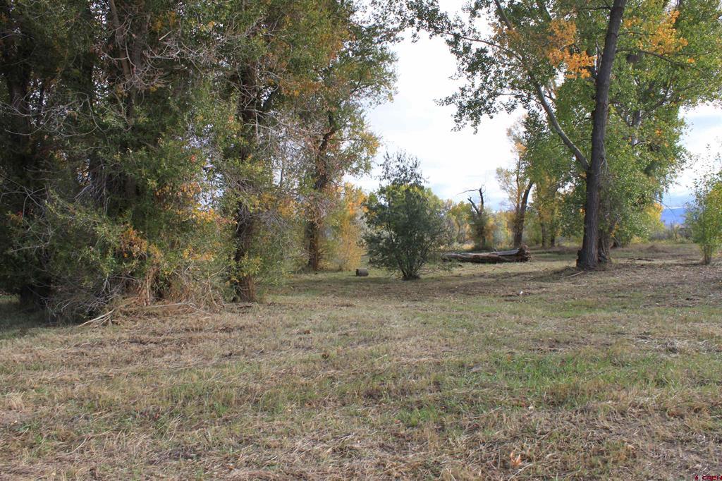 Tbd (lot 2) 6360 Drive Property Photo 9
