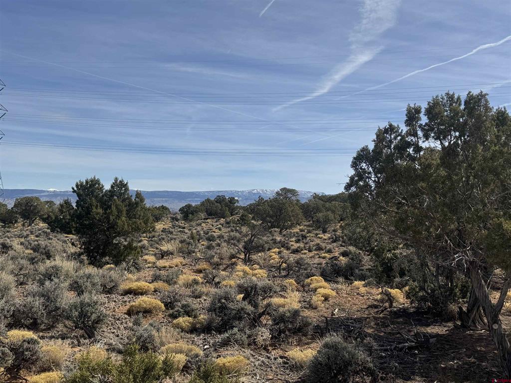 17750 Remington Trail Property Photo 37