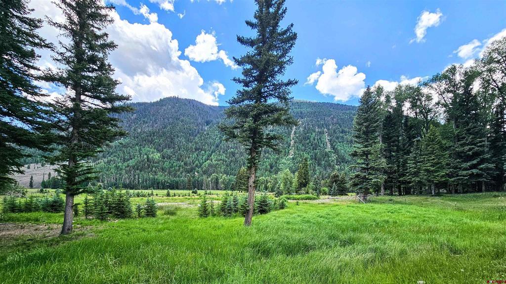20970 Forest Service Road 250 Property Photo 21