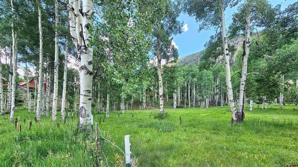 20970 Forest Service Road 250 Property Photo 28