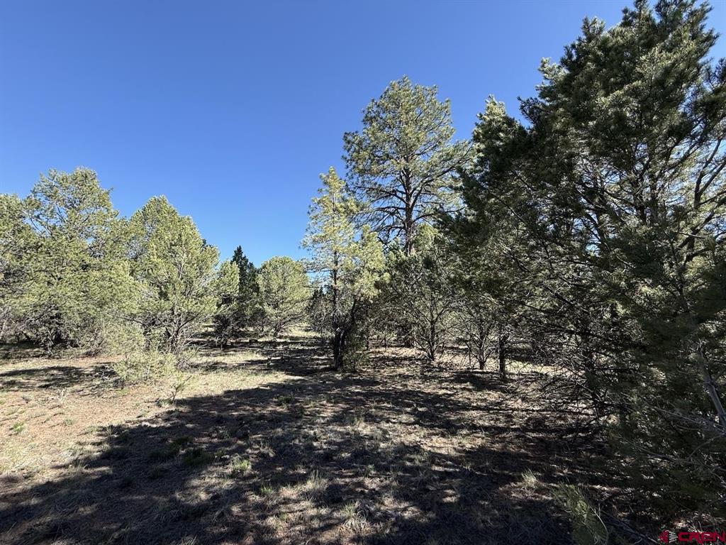 Lot 5 Cottontail Lane Property Photo 8