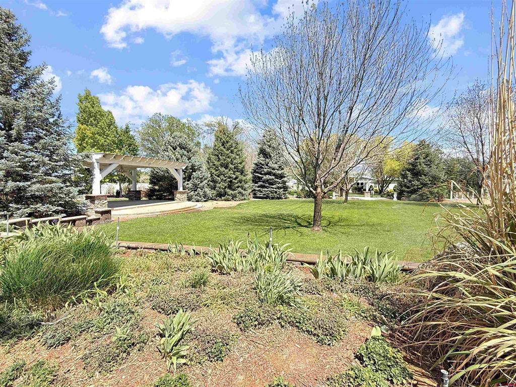 5955 Sawmill Mesa Road Property Photo 25