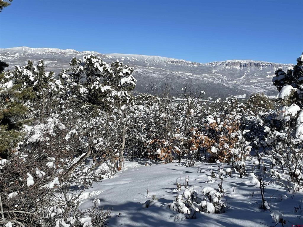 Lot 4 Pine Drive Property Photo 15