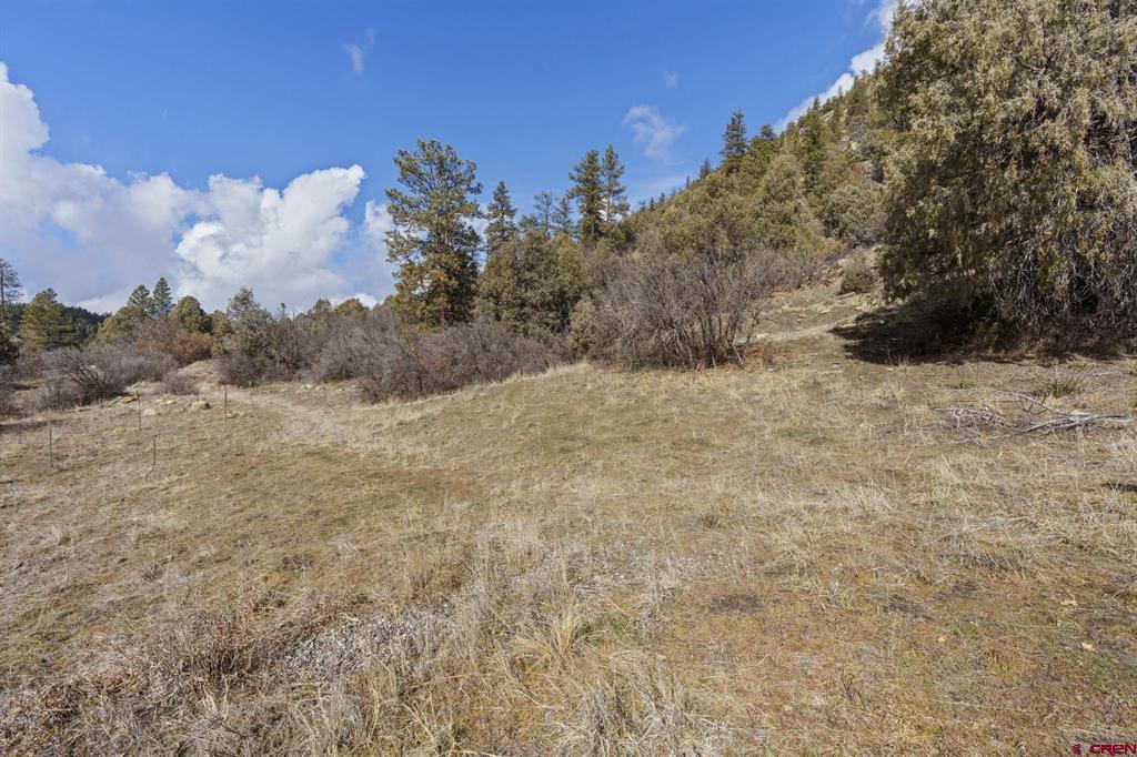 24800 Us Highway 160 Property Photo 3