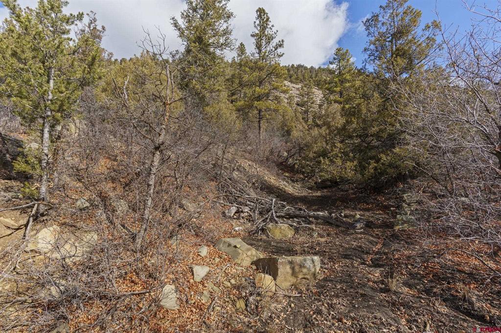 24800 Us Highway 160 Property Photo 5