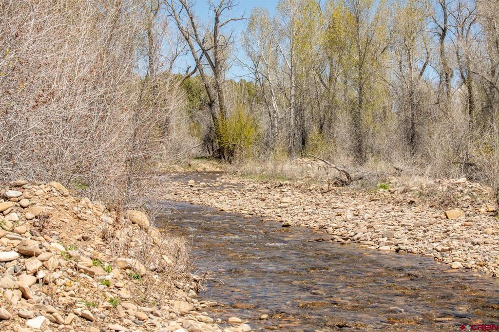 Tbd County Road 122a Property Photo 2