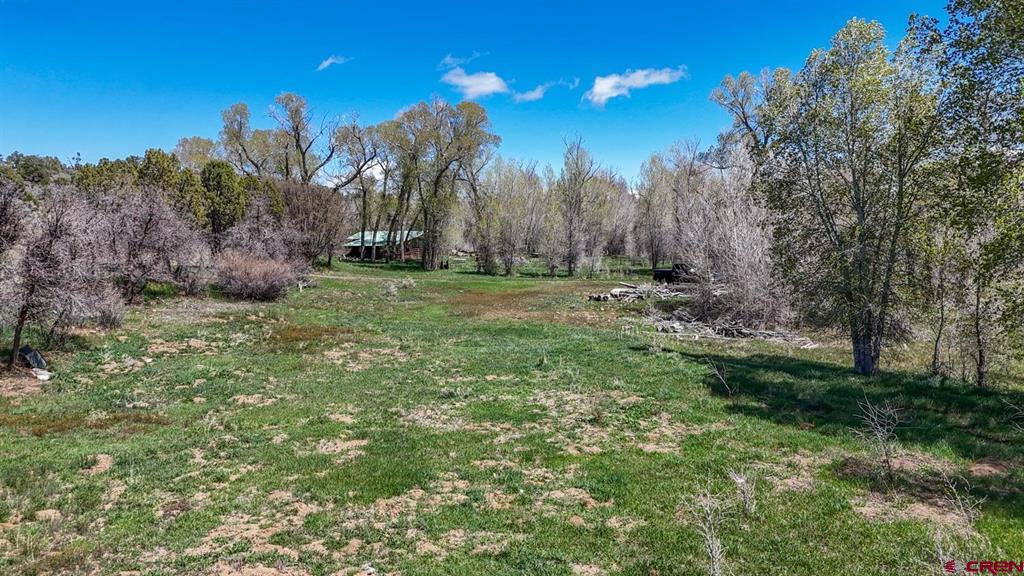 Tbd County Road 122a Property Photo 6