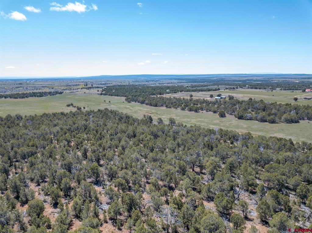 Tbd County Road 122a Property Photo 7