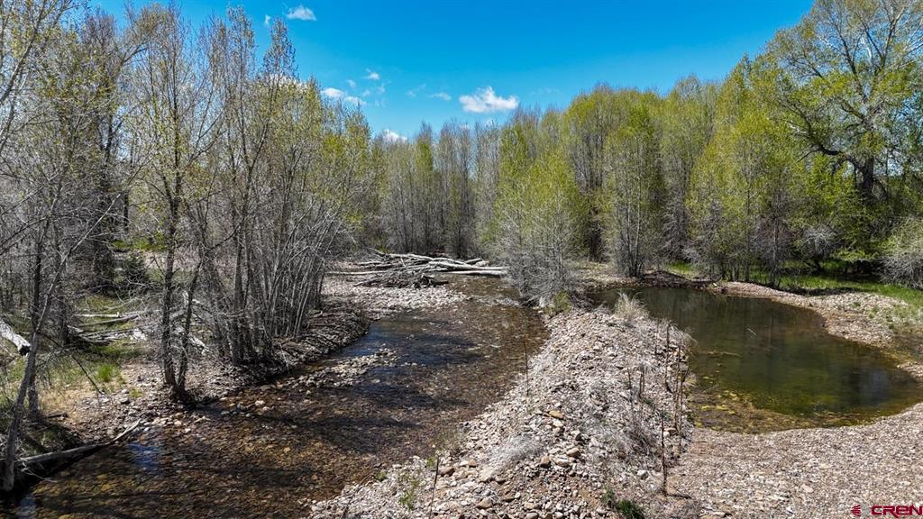 Tbd County Road 122a Property Photo 9