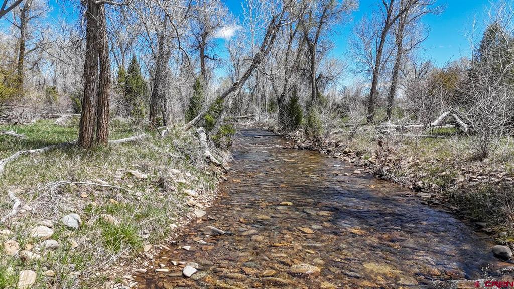 Tbd County Road 122a Property Photo 10