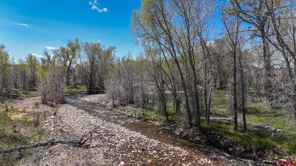Tbd County Road 122a Property Photo 11