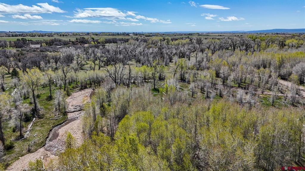 Tbd County Road 122a Property Photo 14