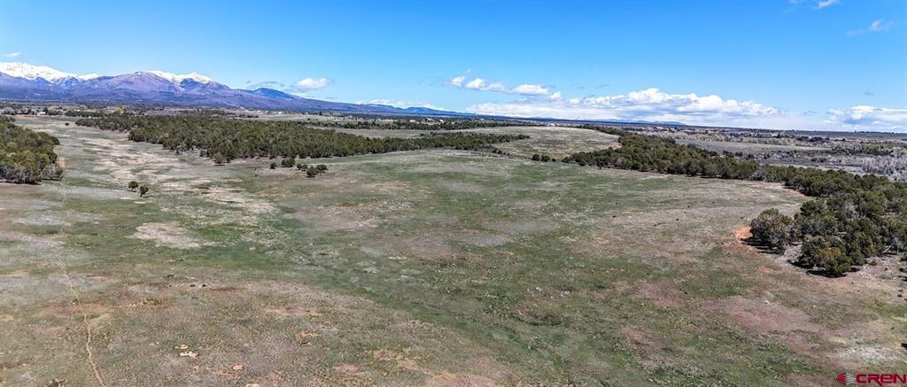 Tbd County Road 122a Property Photo 15