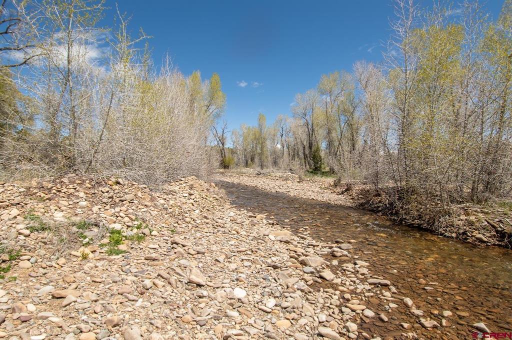 Tbd County Road 122a Property Photo 20