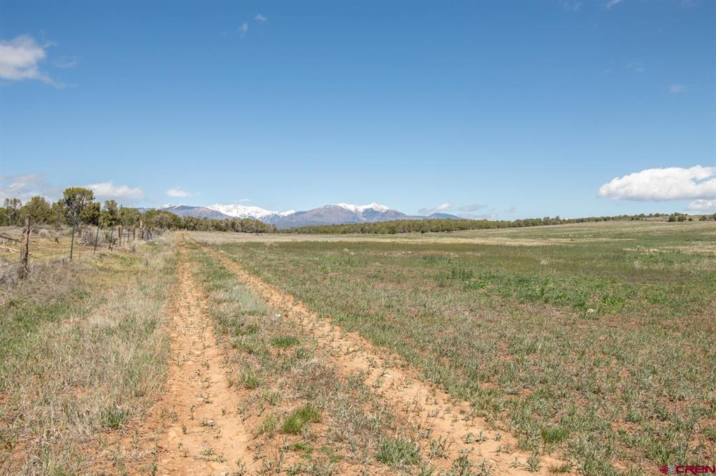 Tbd County Road 122a Property Photo 21