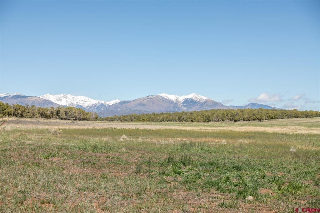 Tbd County Road 122a Property Photo 22