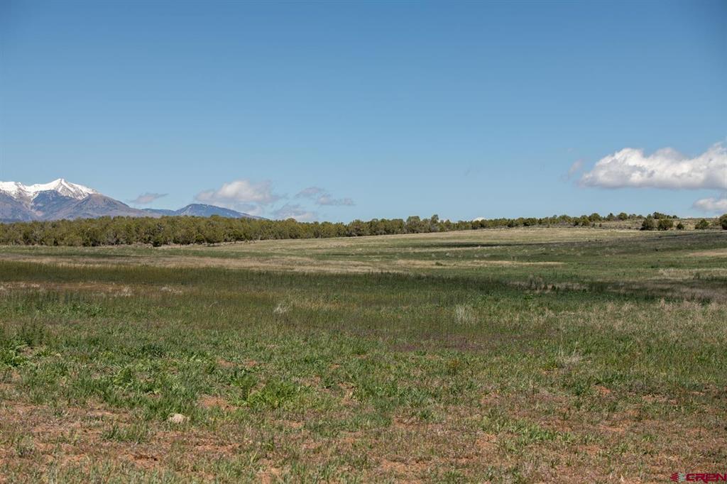 Tbd County Road 122a Property Photo 23