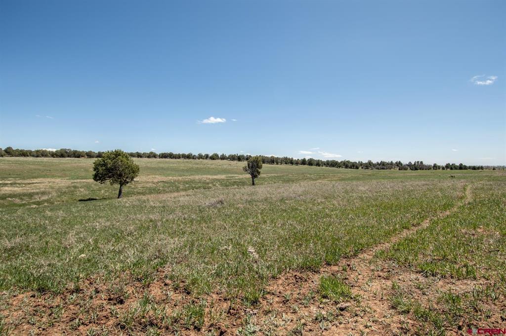 Tbd County Road 122a Property Photo 25