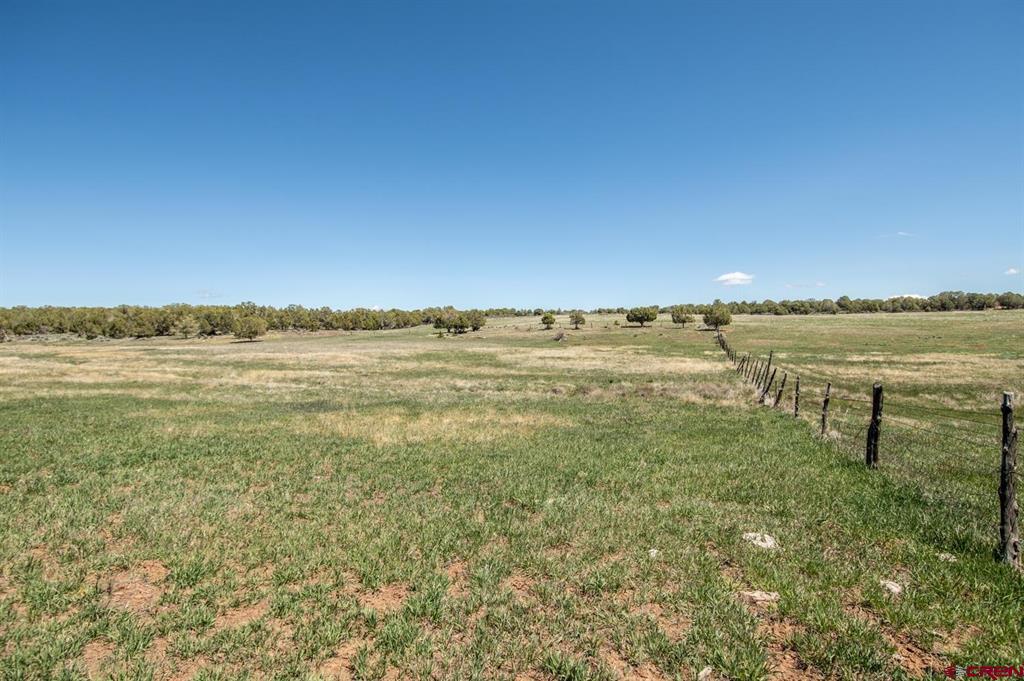 Tbd County Road 122a Property Photo 26