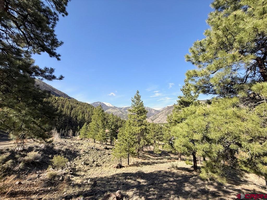 1782 Red Mountain Drive Property Photo 8