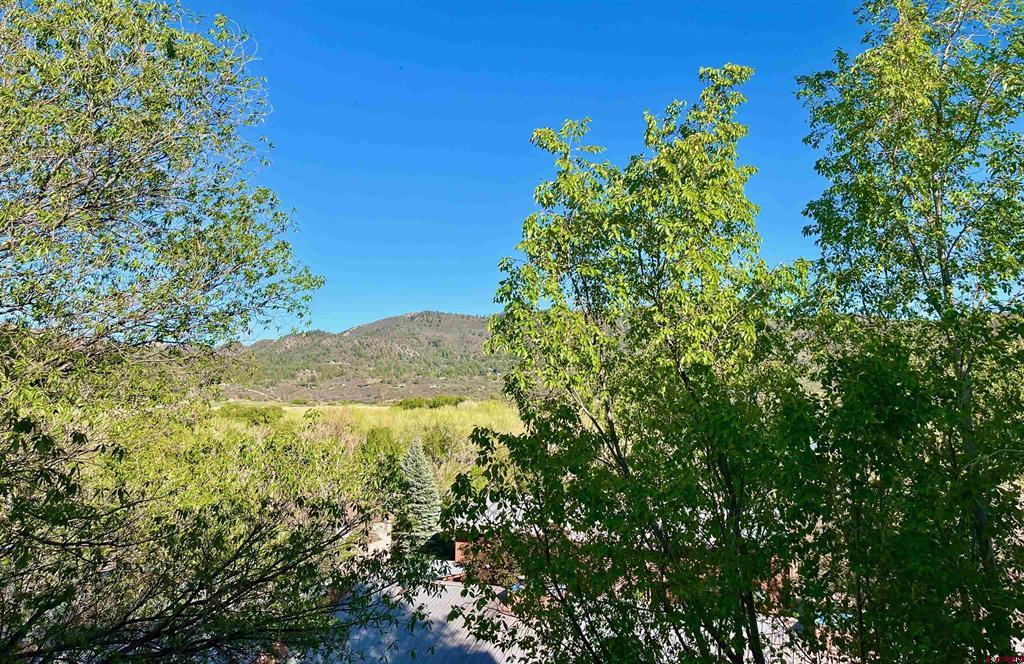 525 E Animas View Drive Property Photo 10