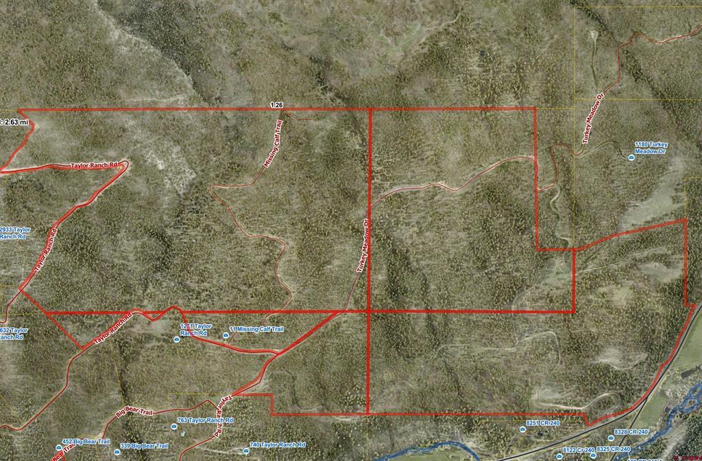 Tbd County Rd. 240 Property Photo 4