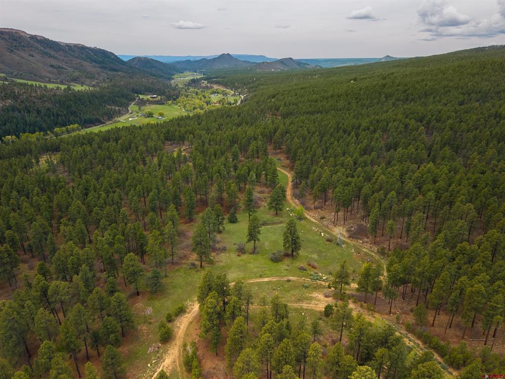 Tbd County Rd. 240 Property Photo 8