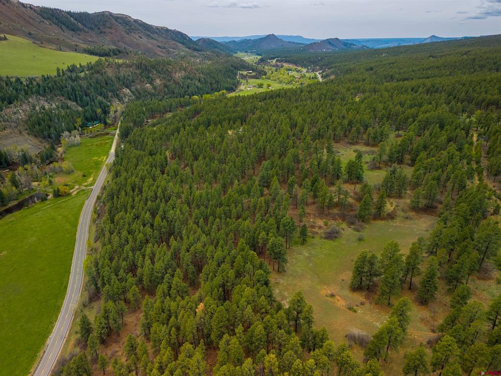 Tbd County Rd. 240 Property Photo 9