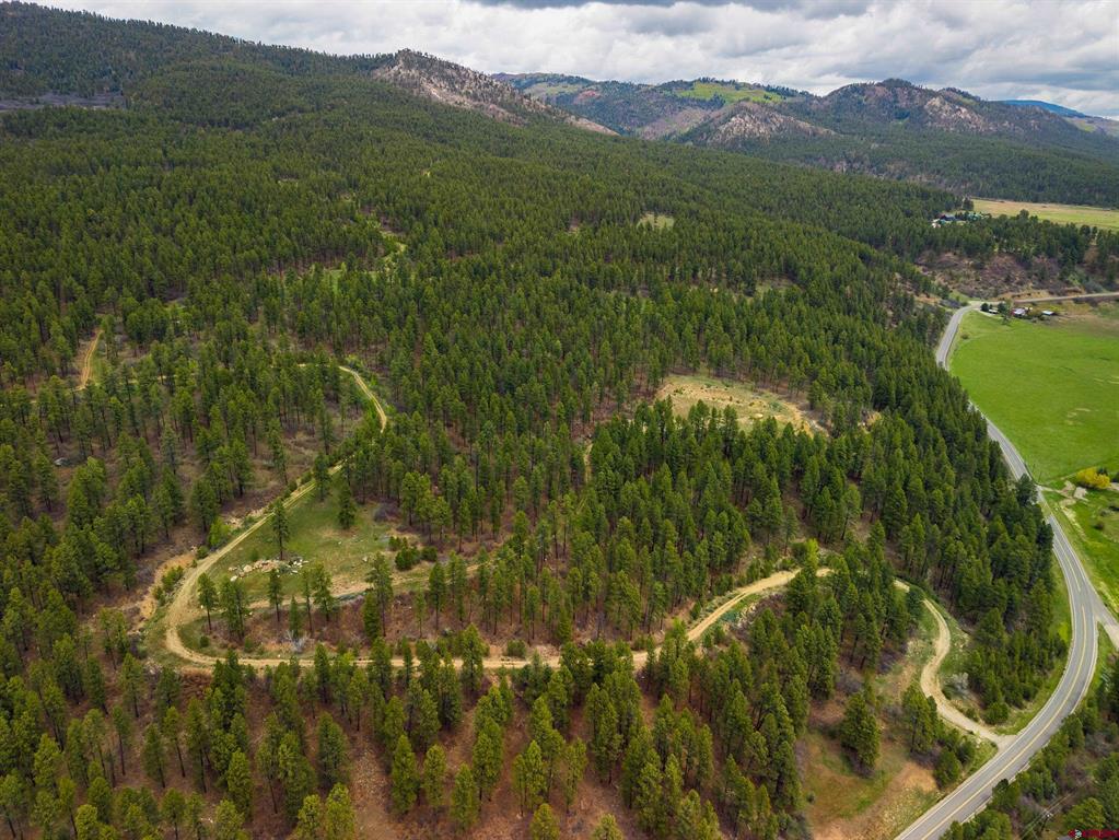 Tbd County Rd. 240 Property Photo 10