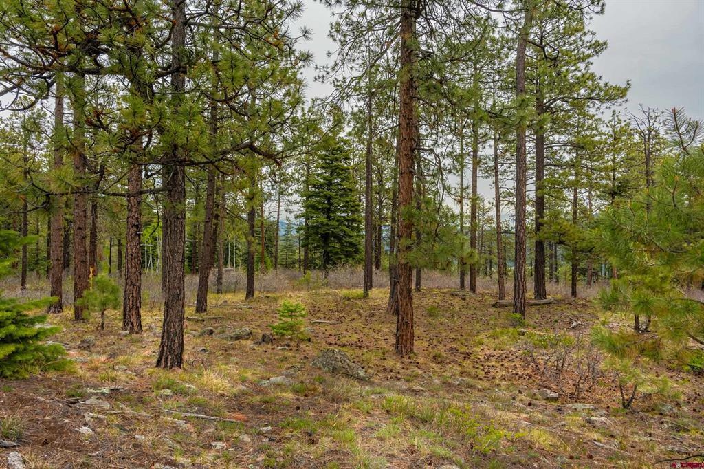 Tbd County Rd. 240 Property Photo 14