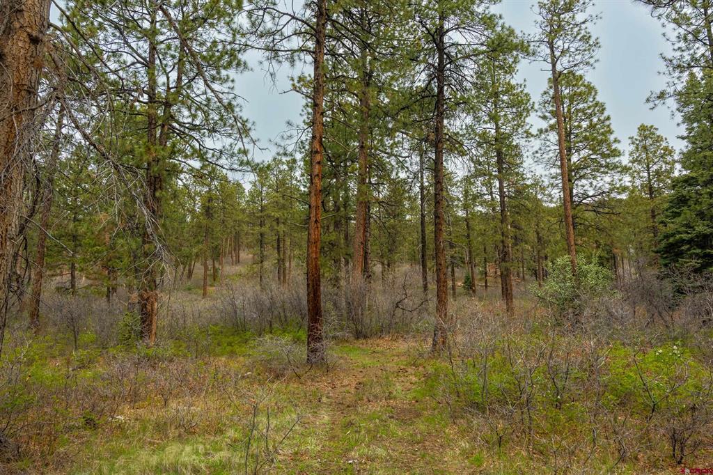 Tbd County Rd. 240 Property Photo 15