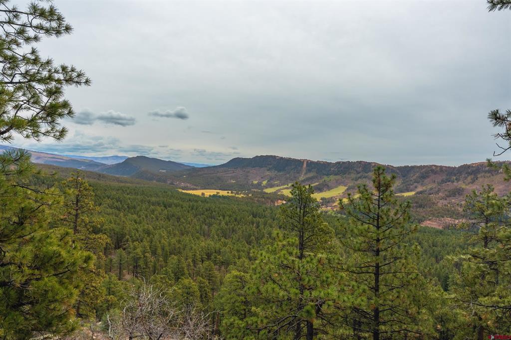 Tbd County Rd. 240 Property Photo 16