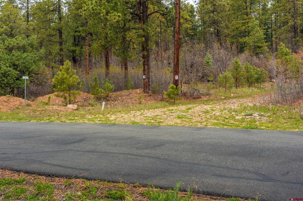 Tbd County Rd. 240 Property Photo 18
