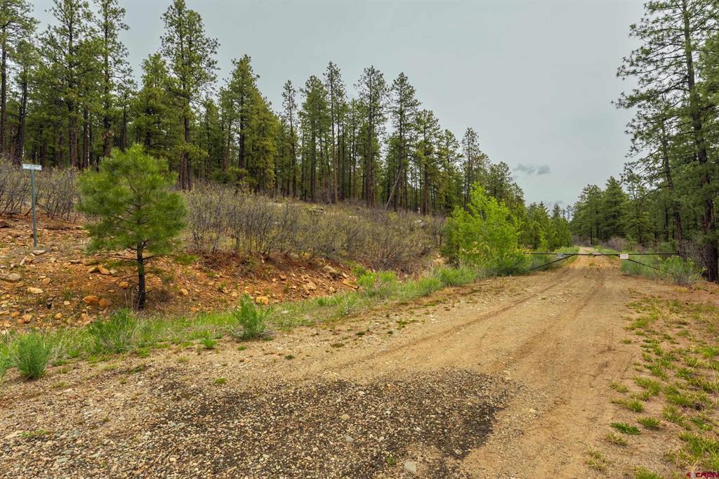 Tbd County Rd. 240 Property Photo 19