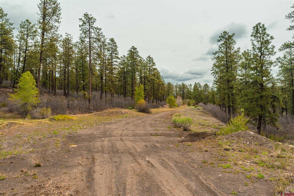 Tbd County Rd. 240 Property Photo 20